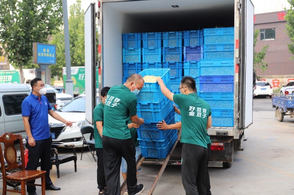 抗擊疫情 愛心企業捐贈50萬斤芽苗菜